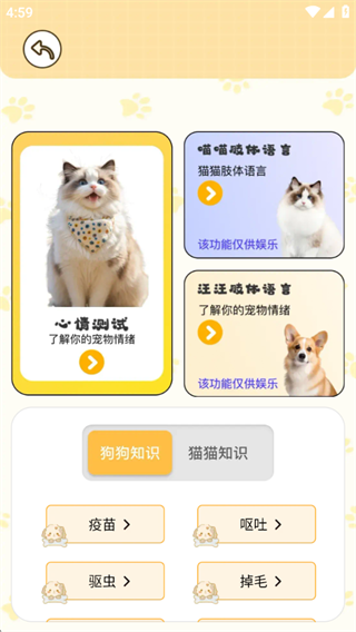 軤