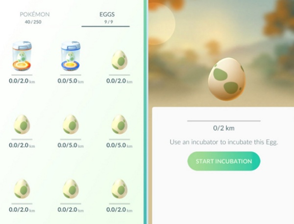 宝可梦go中国官方版下载 宝可梦go中国官方版下载