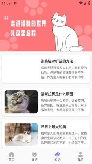 筑梦猫舍宠趣最新版下载 筑梦猫舍宠趣最新版下载