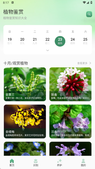 猫满花语app下载 猫满花语app下载