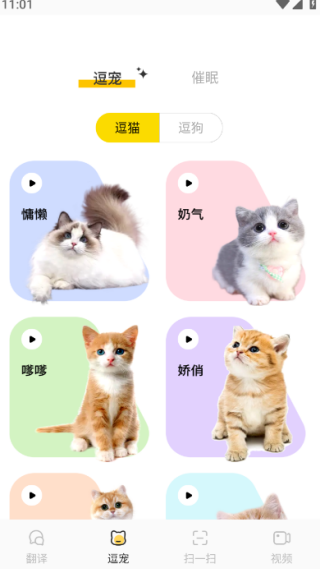 ȳ跭°