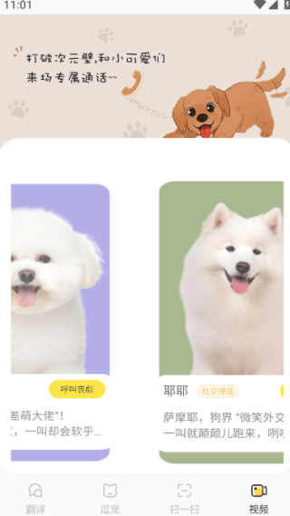 ȳ跭°