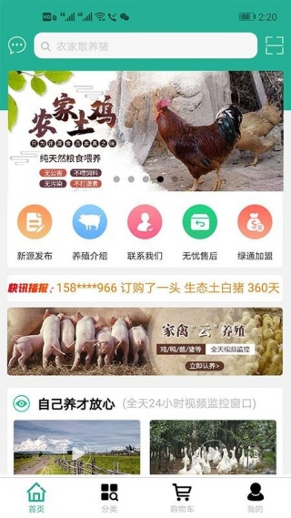 绿通最新版下载 绿通最新版下载