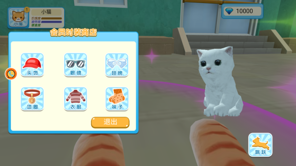 猫咪奶奶大冒险 猫咪奶奶大冒险