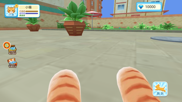 猫咪奶奶大冒险 猫咪奶奶大冒险