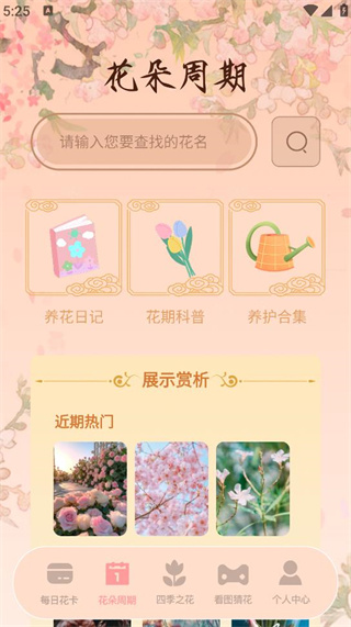 小舞助手 小舞助手