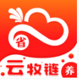 appv1.0 ׿