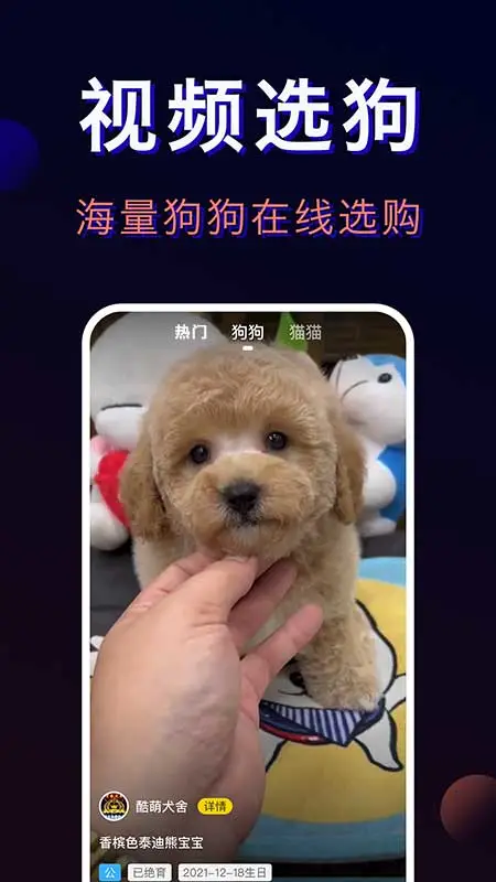 ﱦappٷv4.5.5 ׿