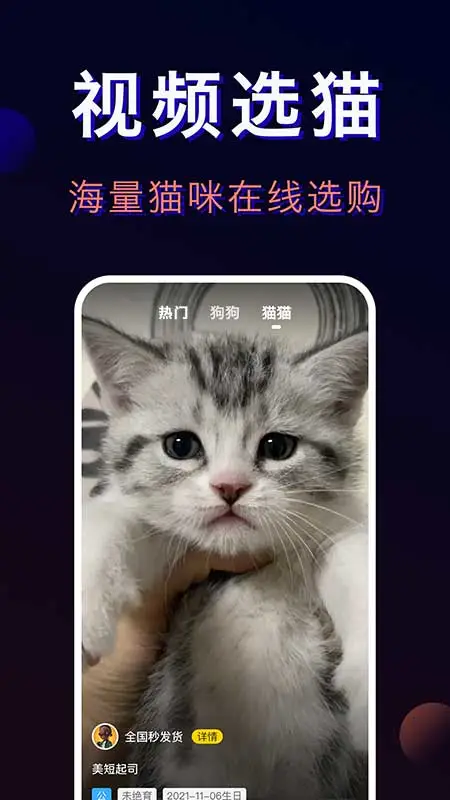 ﱦappٷv4.5.5 ׿