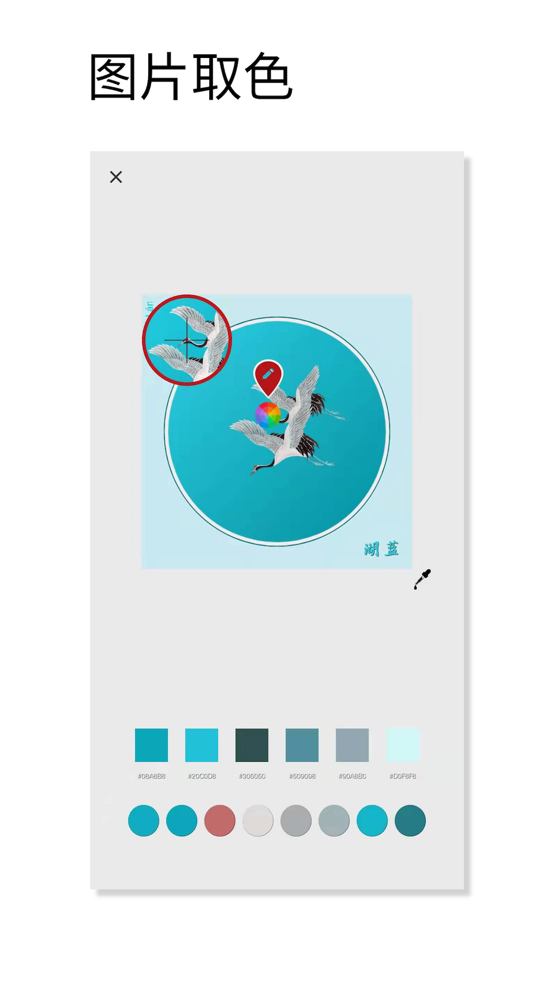 ɫɫapp(ԭɫ)v1.054 ׿