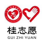 桂志愿软件下载v3.9.7 最新版
