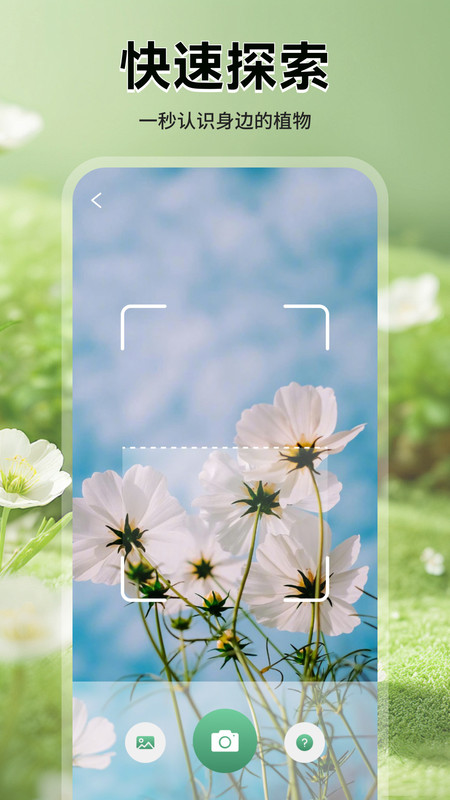 èappv1.1 ׿