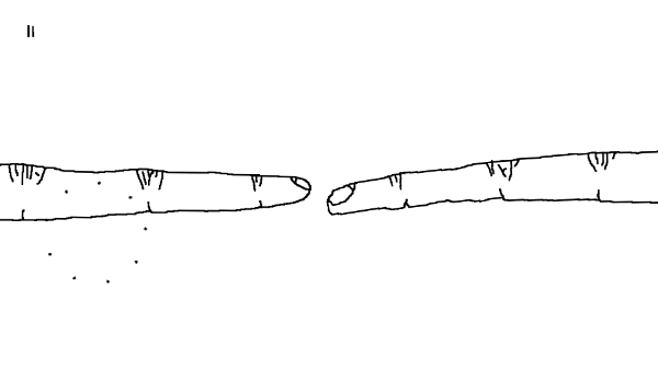 Plug & Play(弴)v1.3.4 ׿