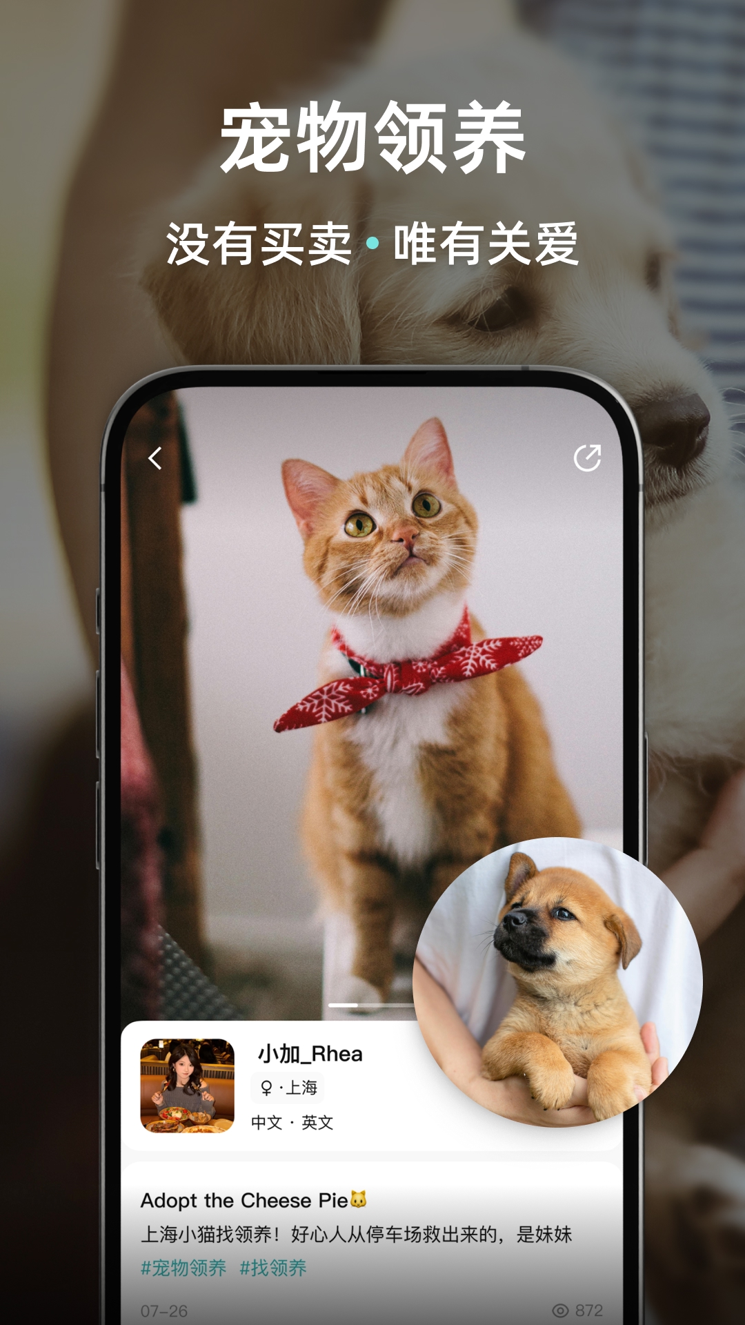 wellceeⷿappv4.3.0 °׿