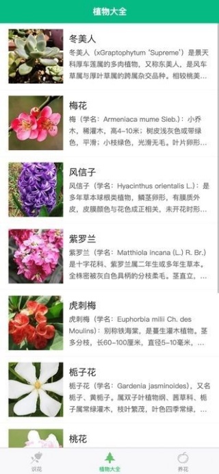 竹馨时光吧软件下载 竹馨时光吧软件下载