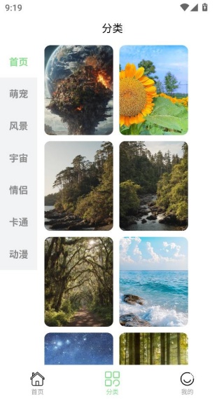 每日淘壁纸官方下载 每日淘壁纸官方下载