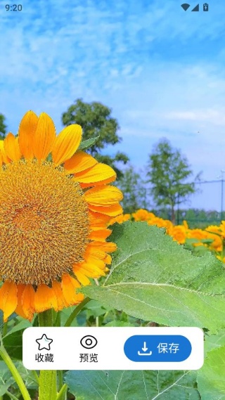 每日淘壁纸官方下载 每日淘壁纸官方下载