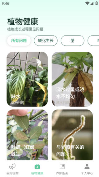 爱馨花园手机版下载 爱馨花园手机版下载