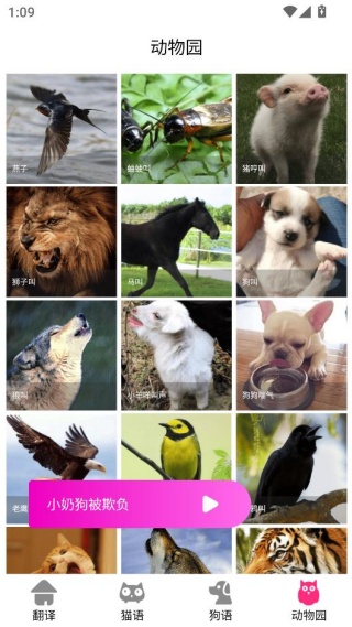 狗语翻译交流器app免费下载 狗语翻译交流器app免费下载