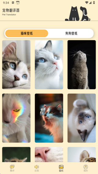 萌猫公园日常app最新版下载 萌猫公园日常app最新版下载