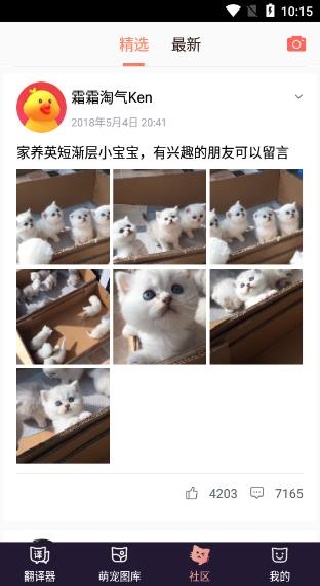猫语翻译器助手中文版 猫语翻译器助手中文版