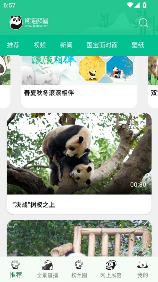 熊猫频道app最新版下载 熊猫频道app最新版下载