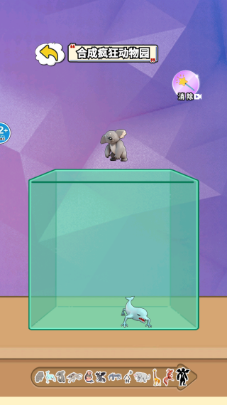 脑腐动物进化 脑腐动物进化