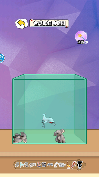 脑腐动物进化 脑腐动物进化