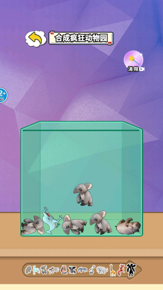 脑腐动物进化 脑腐动物进化