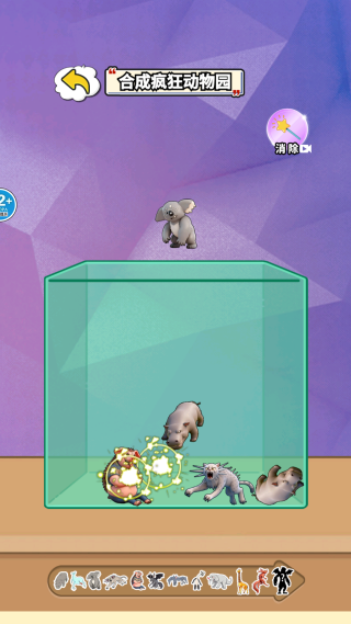 脑腐动物进化 脑腐动物进化