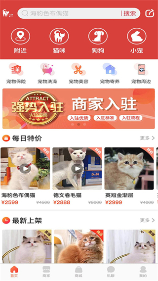 �����app2025���°�