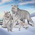 Wild White Tiger Family Simİv1.0 ׿