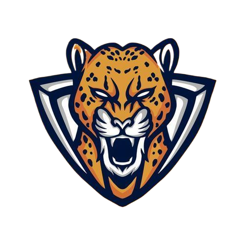 野豹启动器软件下载最新版v9999