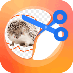 ͼPͼʦappٷذ׿°v3.1 Ѱ