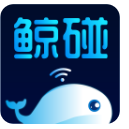 鲸碰app最新版下载v2.2.3 手机版