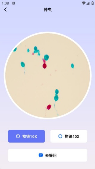 一万个为什么 一万个为什么