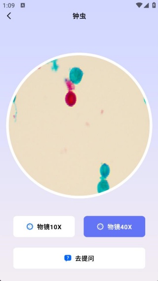 一万个为什么 一万个为什么