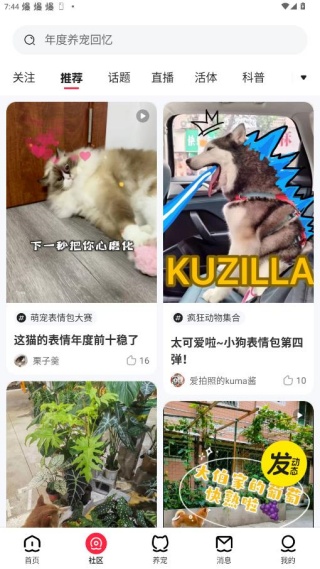 宠胖胖宠物app下载 宠胖胖宠物app下载
