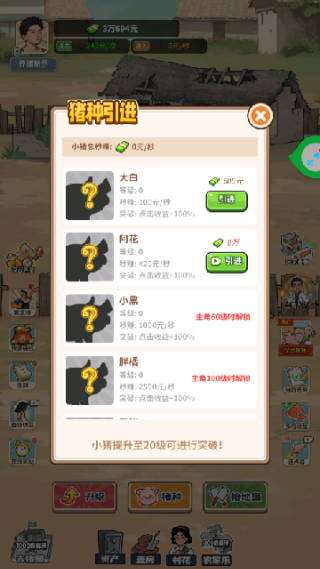 养猪致富计划游戏下载 养猪致富计划游戏下载