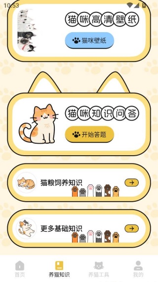 治愈小猫咪 治愈小猫咪