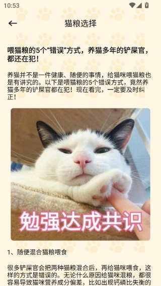 治愈小猫咪 治愈小猫咪
