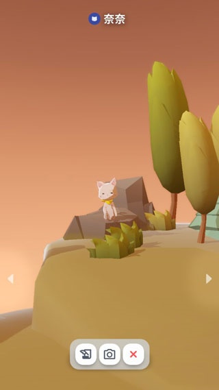 �װ���è��