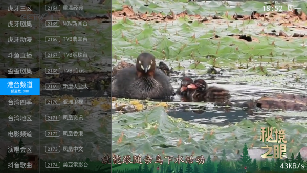 ����ֱ��2026����