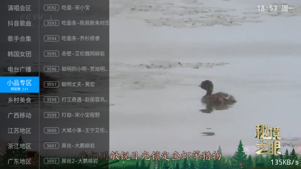 ����ֱ��2026����