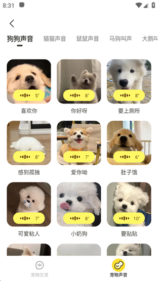 爱宠翻译器软件下载 爱宠翻译器软件下载