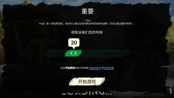 ������Ϸ����