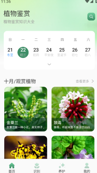 ���Ž���ʰ�����°�����