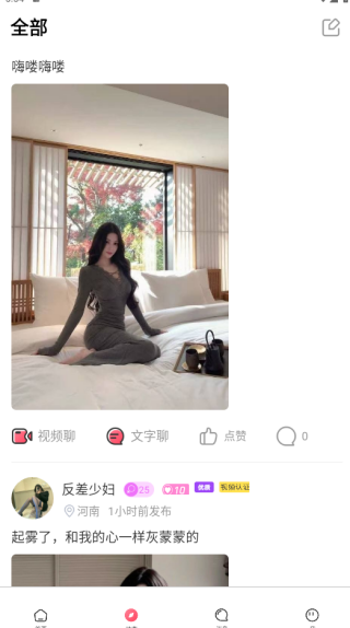 �»�������������