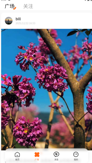 取伙交友软件下载 取伙交友软件下载