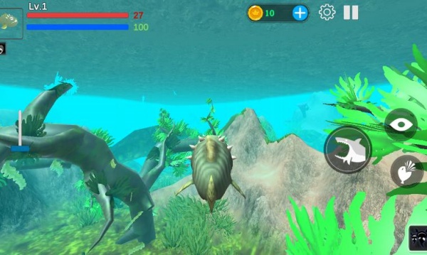 �����������Ϸ����